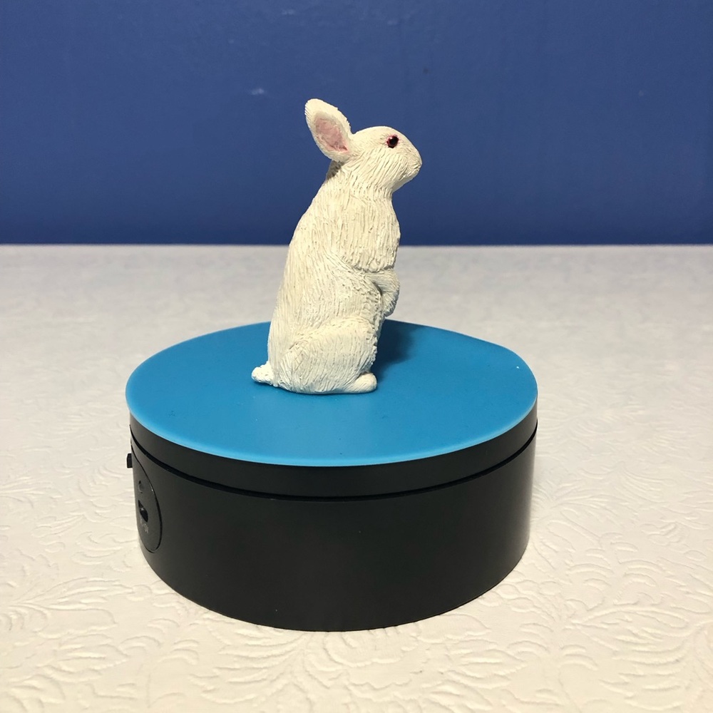 Some bunny wants you! Take this cute rabbit home.